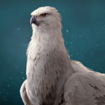 Profile picture of SIERRA124